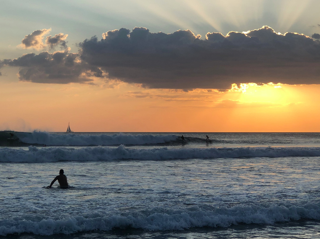 Latitude Surf Experience景点图片
