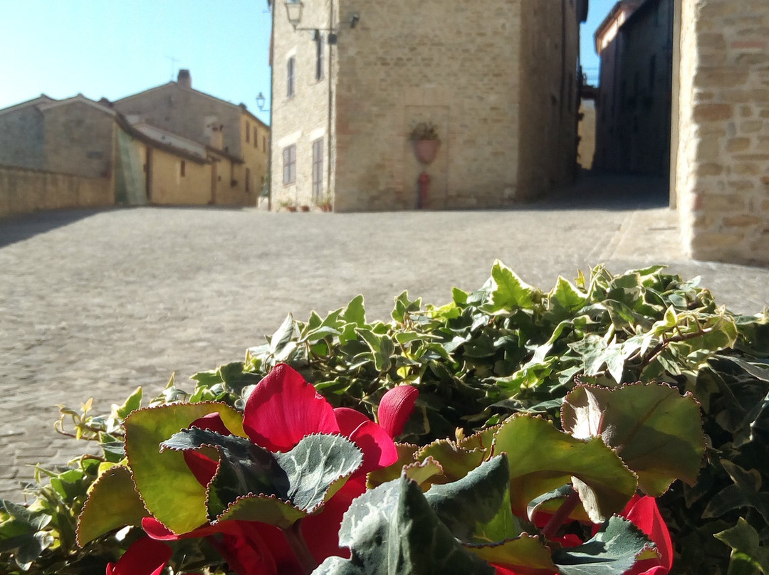 Castello di Castiglioni-Arcevia必去景点