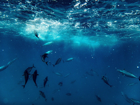 Pevea-莱万托必去景点