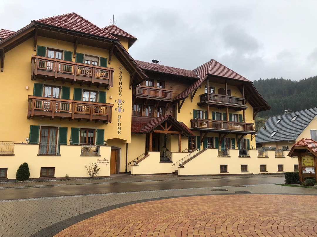 Hotel Gasthaus Mosers Blume主图