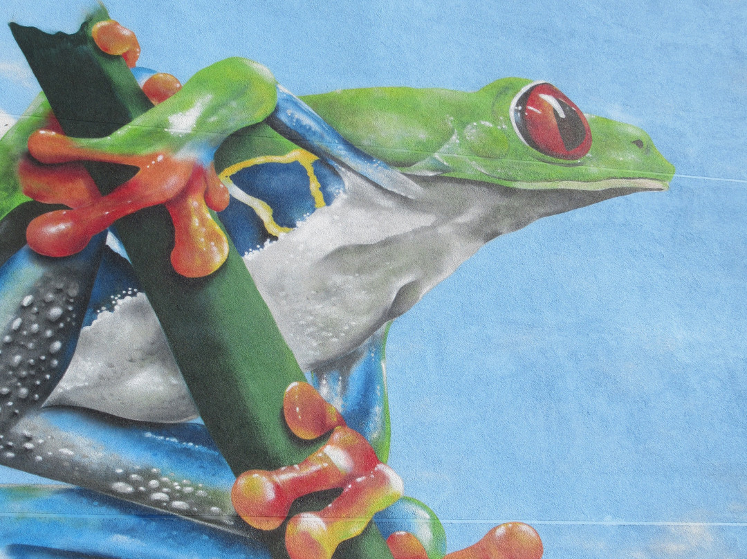 Fresque "Une grenouille aux Courlis"-讷韦尔必去景点