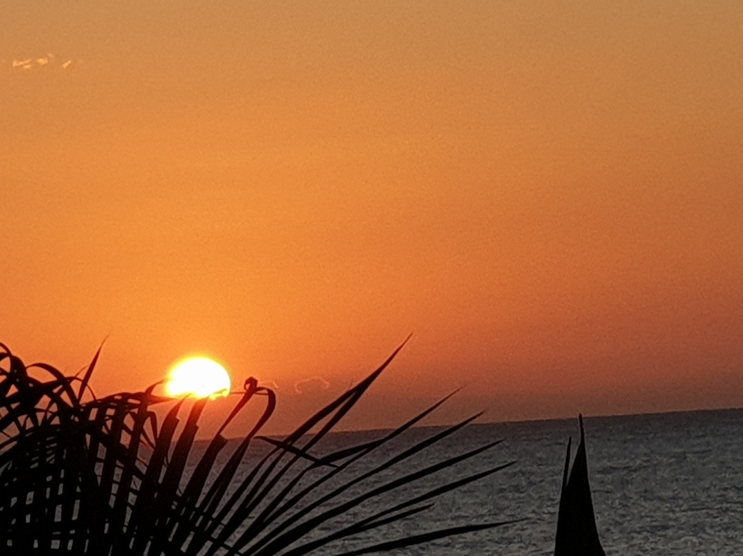 Hotel Amor de Mar主图