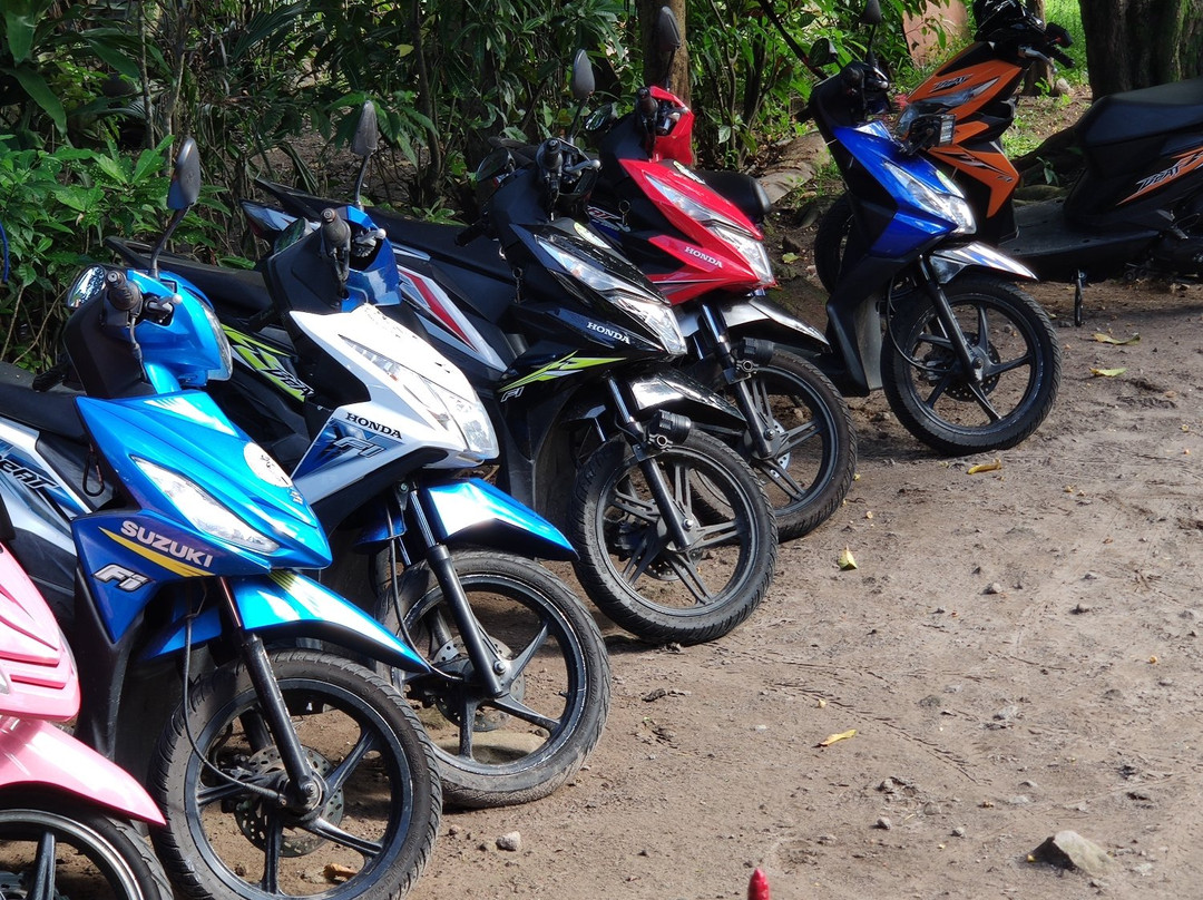 Camiguin Rent a Scooters-曼巴豪必去景点