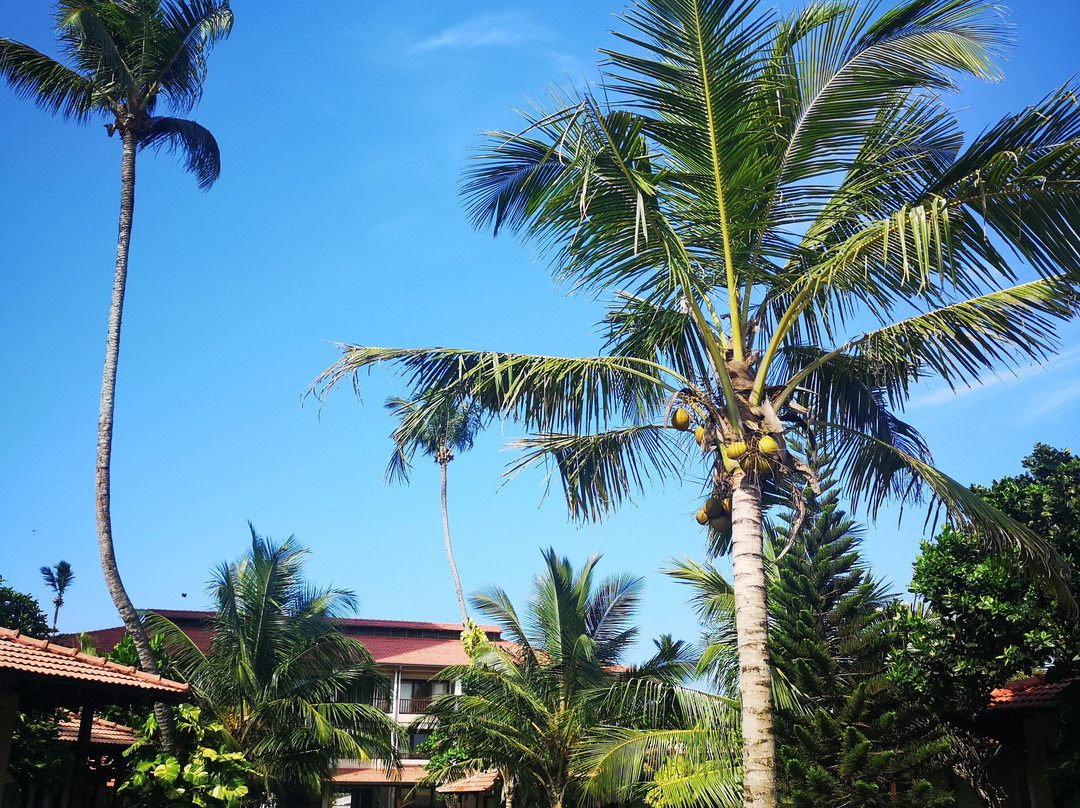 维利格玛海湾度假村主图