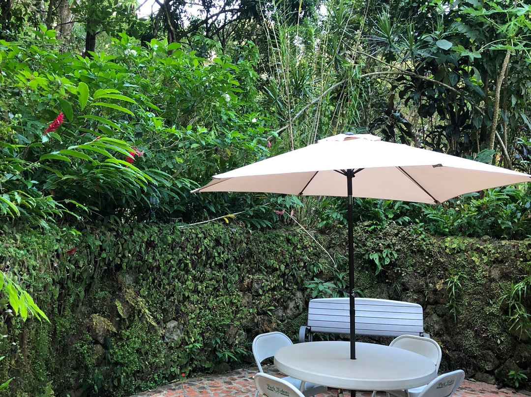 Park Eden Bed & Beakfast主图