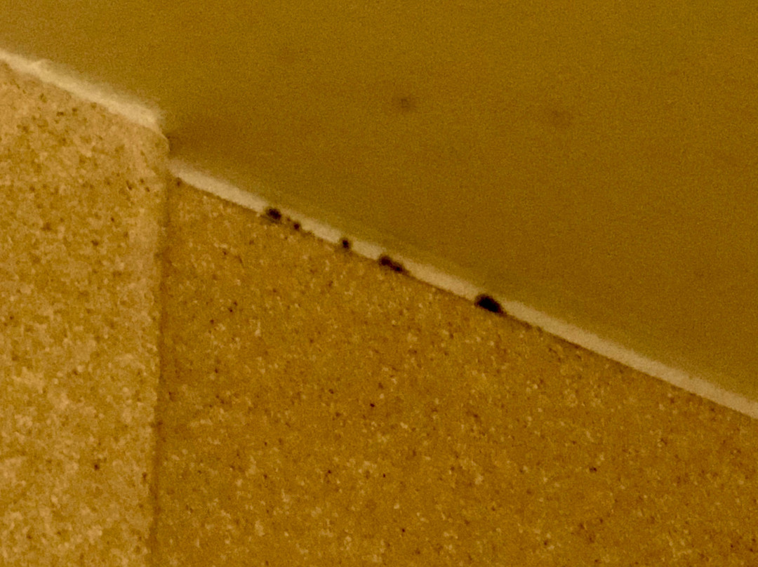 Homewood Suites By Hilton Jackson-ridgeland主图