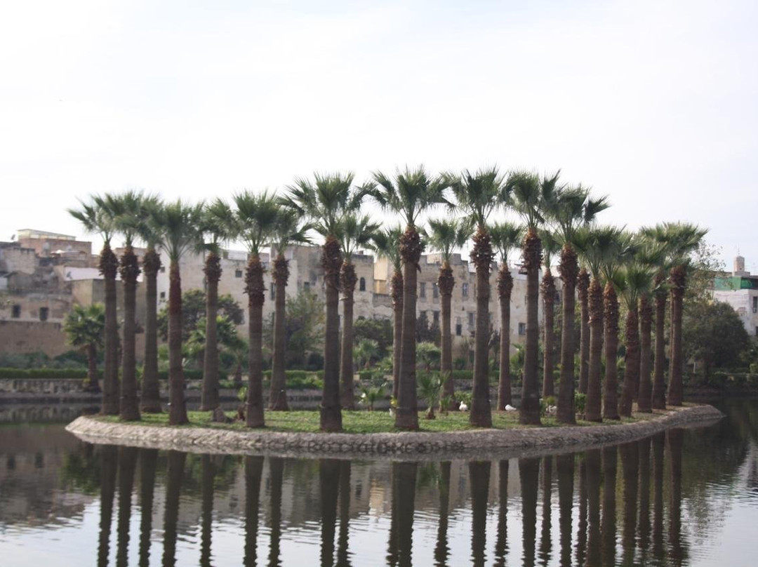 Travel to Sahara-非斯必去景点