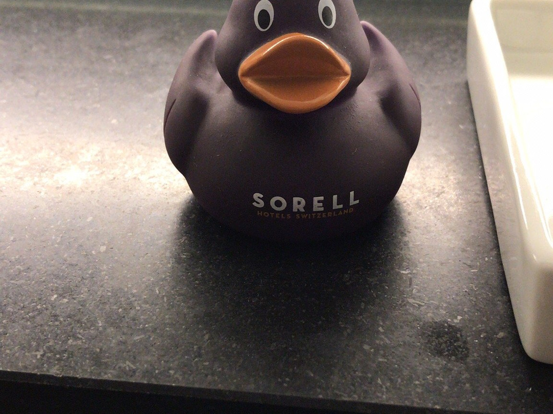 Sorell Hotel Krone主图