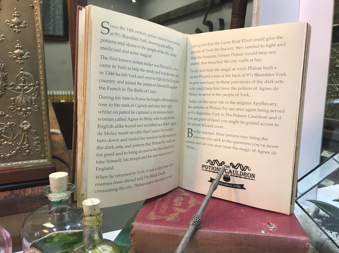 The Potions Cauldron-约克必去景点