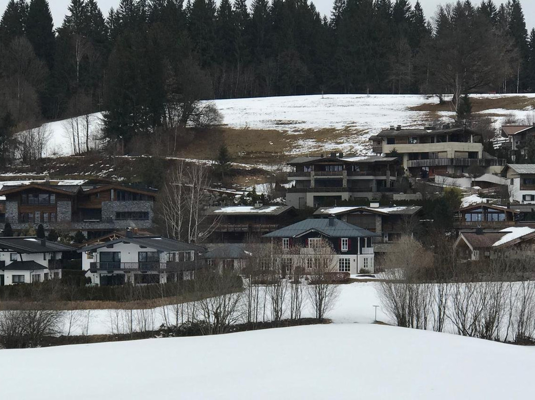 Lisi Family Hotel主图