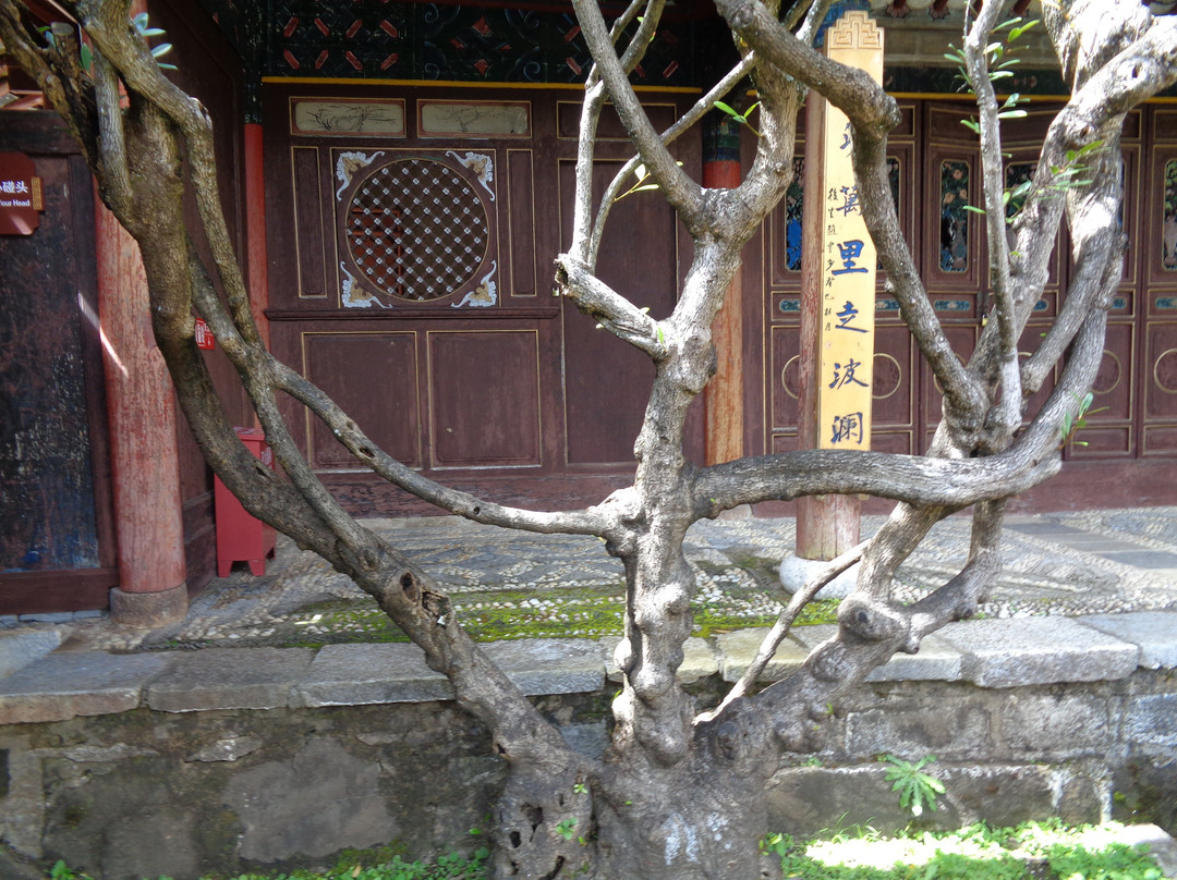 玉峰寺-丽江市必去景点