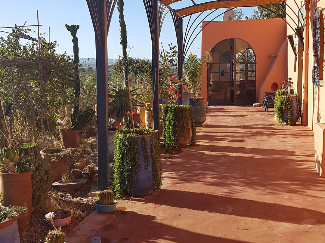 Douar Des Oliviers主图