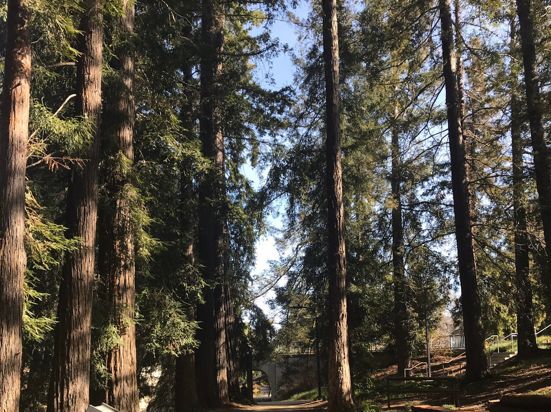 戴维斯大学植物园景点图片