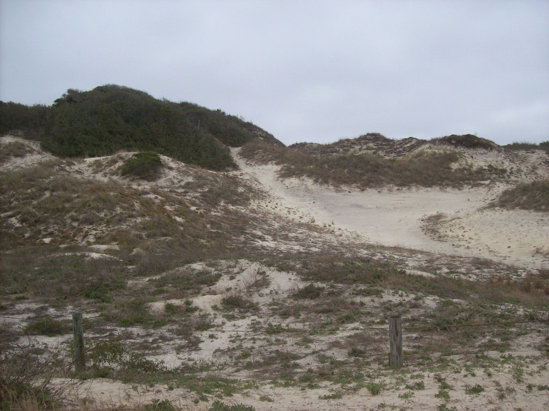 Burney Park-费尔南迪纳岛必去景点