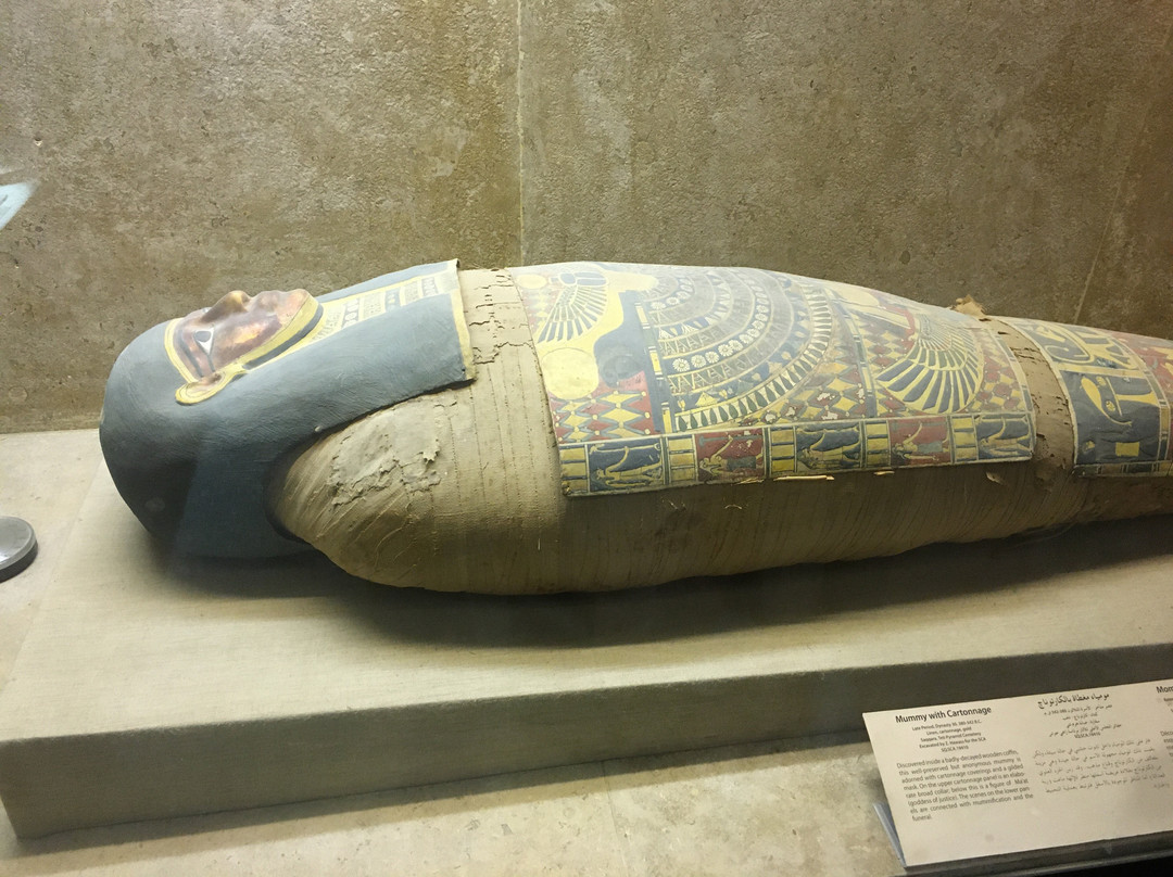 Imhotep Museum-Saqqara必去景点