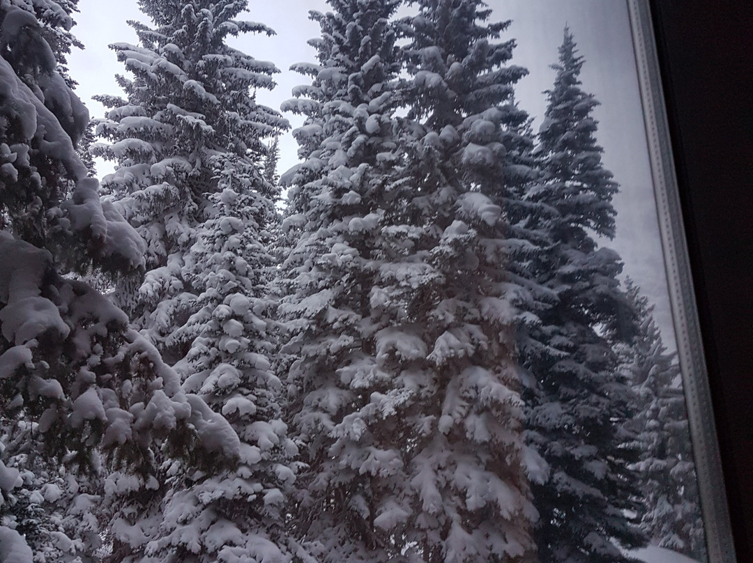 The Cliff Lodge主图