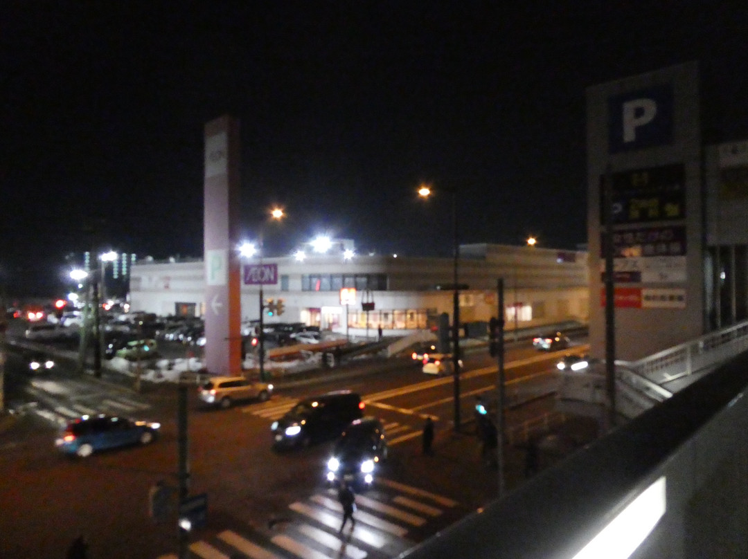 Aeon Chitose-千岁市必去景点