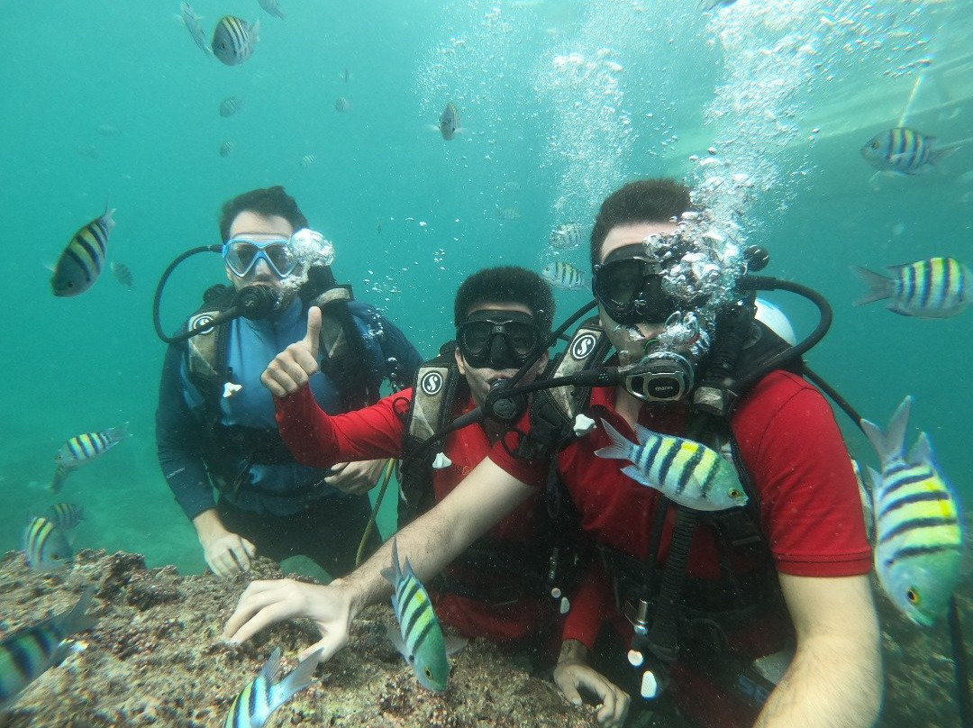 Kish diving center-基什岛必去景点