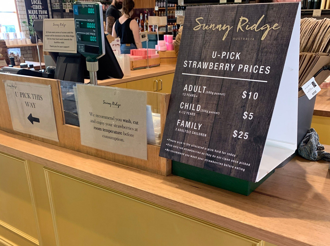 Sunny Ridge Strawberry Farm-Main Ridge必去景点