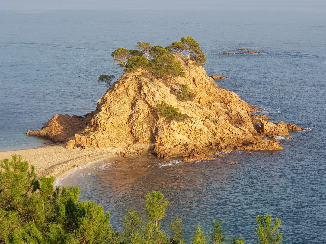 圣豪尔赫公园酒店主图