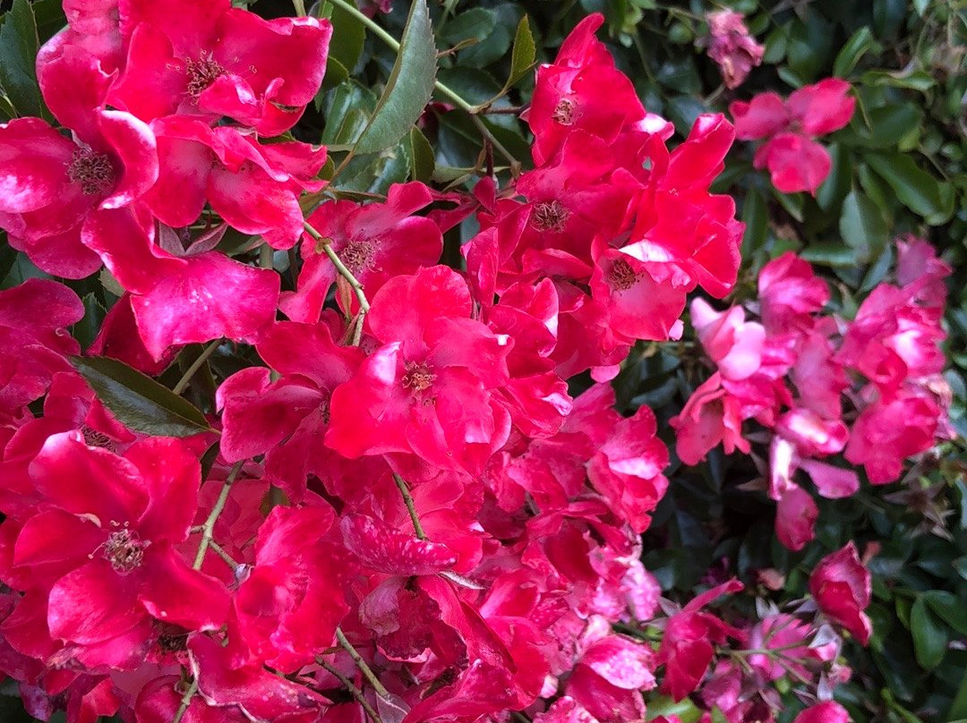 海鸥别墅酒店主图