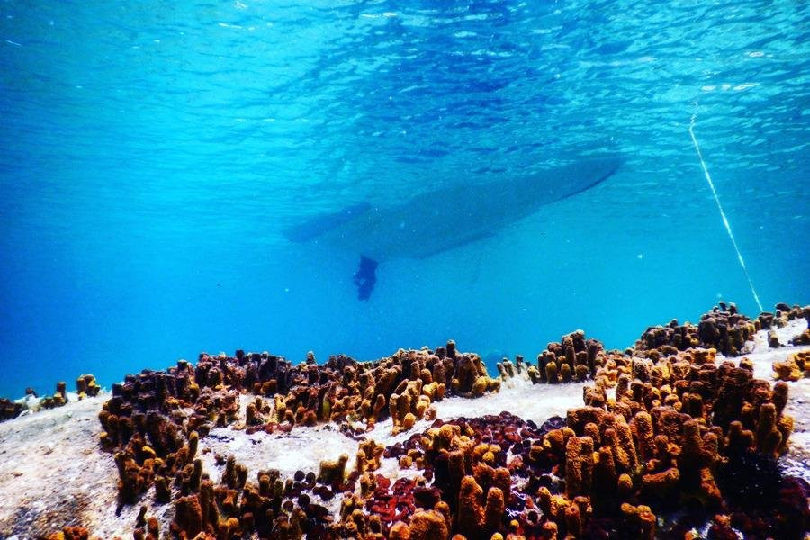 OURANOUPOLI SCUBA CENTER景点图片