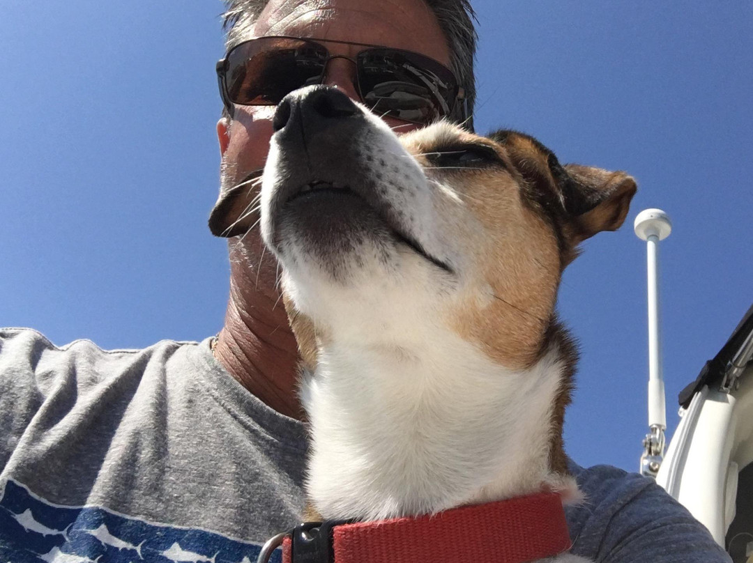 LUCKYDOG NYC CHARTERS-纽约市必去景点