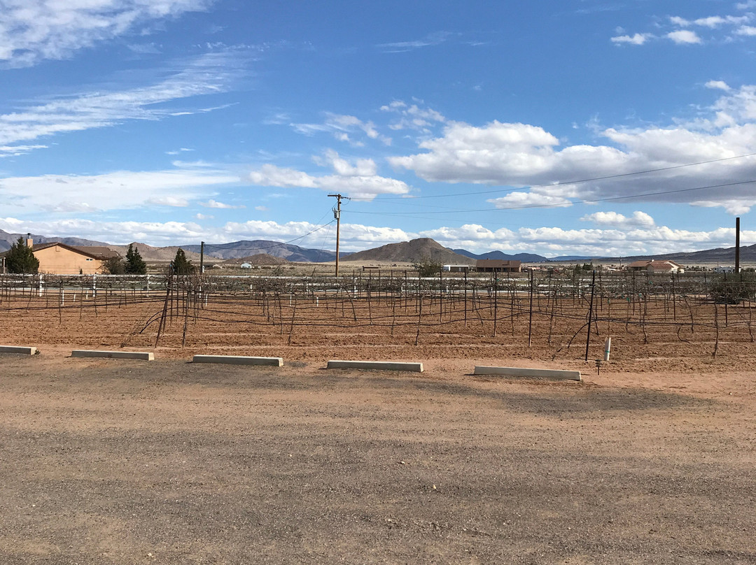 Stetson Winery-金曼必去景点