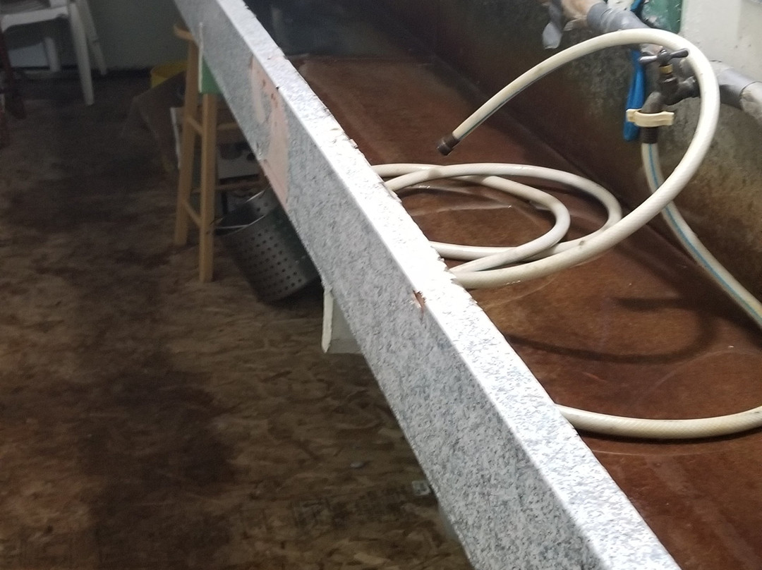 The Low Tide Motel主图