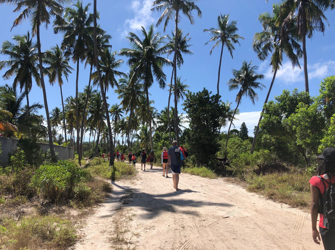 Uroa Blue Adventure-乌罗阿必去景点