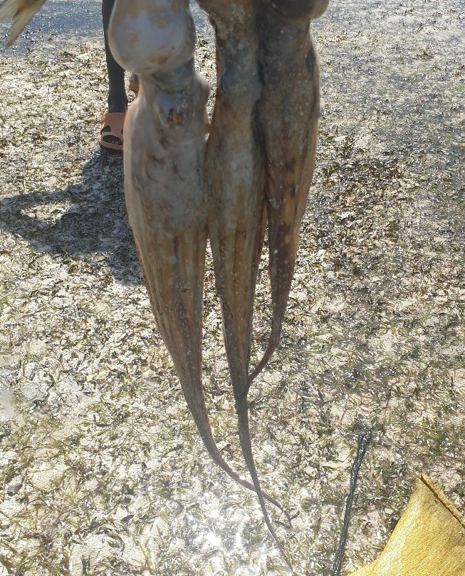 Jumuia Conference & Beach Resort主图