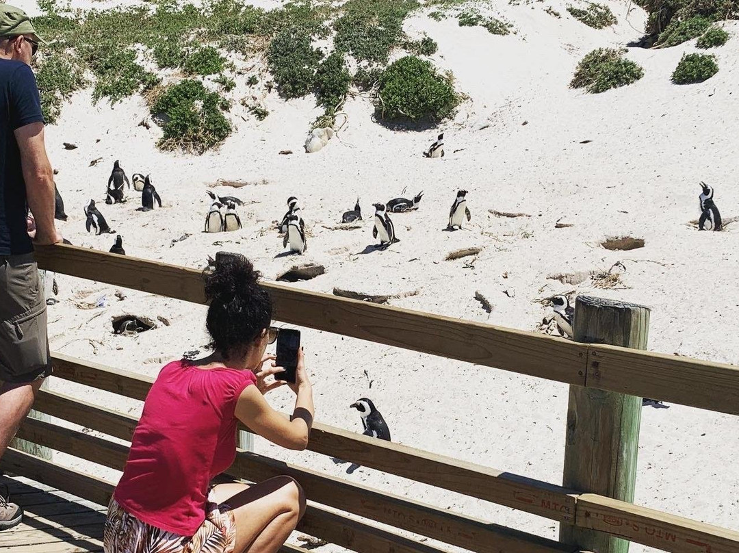 Boldman Travel-开普敦中心区必去景点