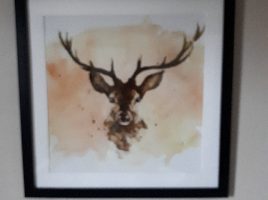 The White House主图