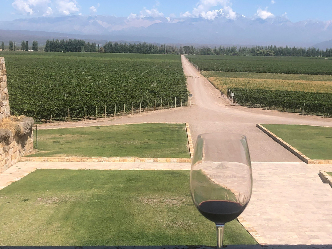 Mendoza Wine trip景点图片