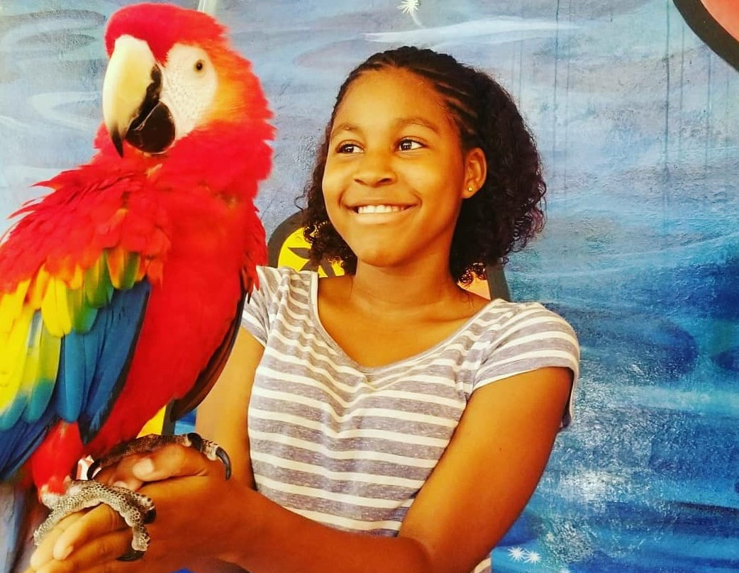 Jamaica Zoo-Lacovia必去景点