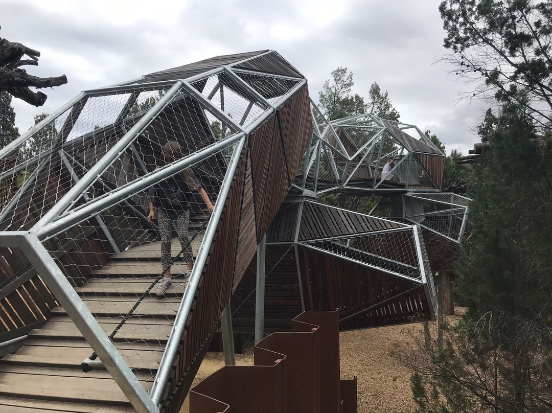 Rio Tinto Naturescape Kings Park-珀斯必去景点