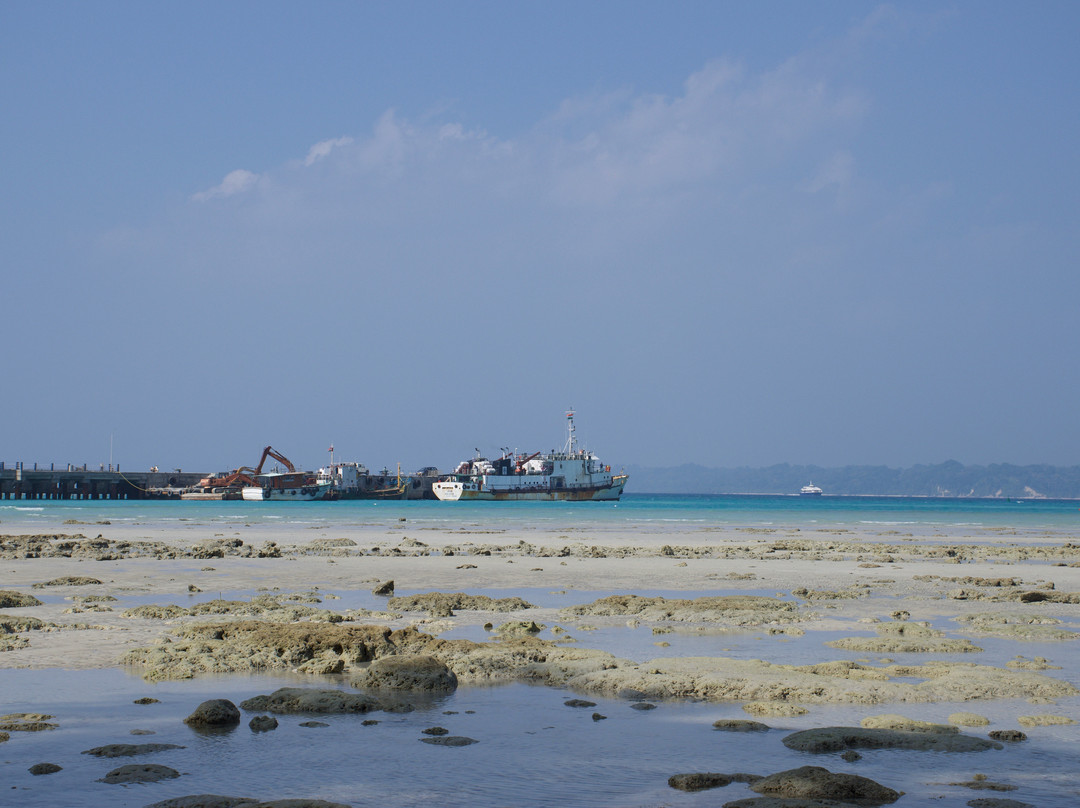 Bharatpur Beach景点图片