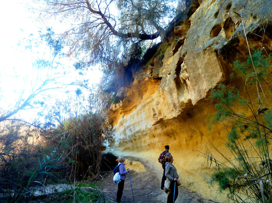 Ruta Senderista Rio Seco景点图片