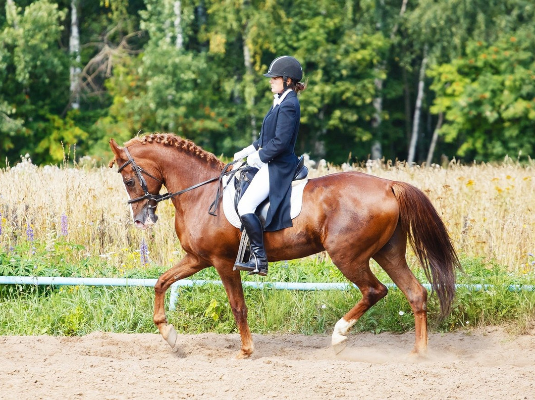 Horse Riding Club Tsentavr景点图片