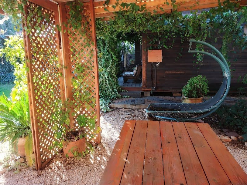 Miki's Rosh Pina主图