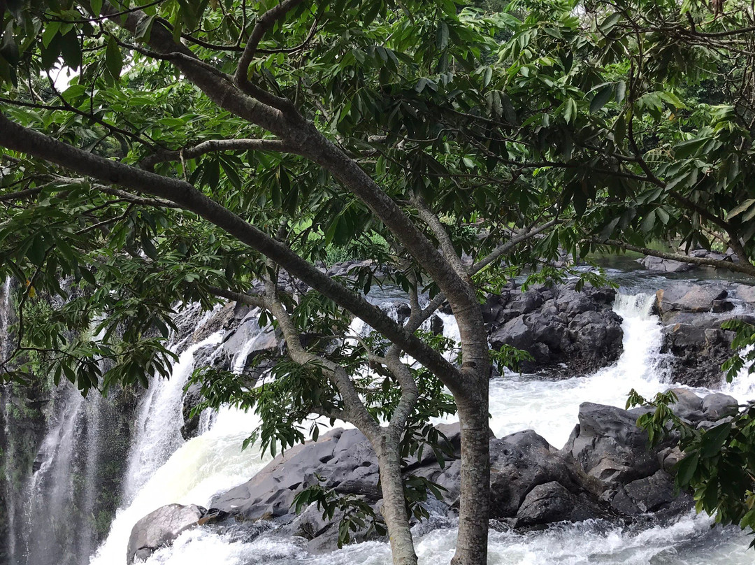 Salto de Eyipantla景点图片