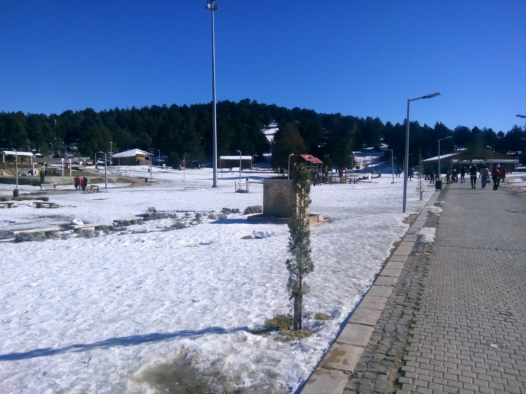 Bagbasi Yaylasi Bungalov Evleri主图