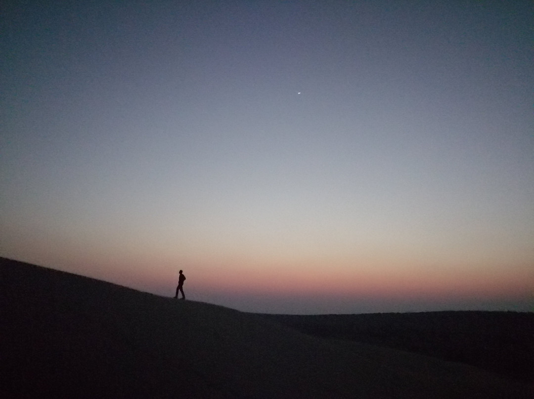 Wild Heritage Tours Jaisalmer景点图片