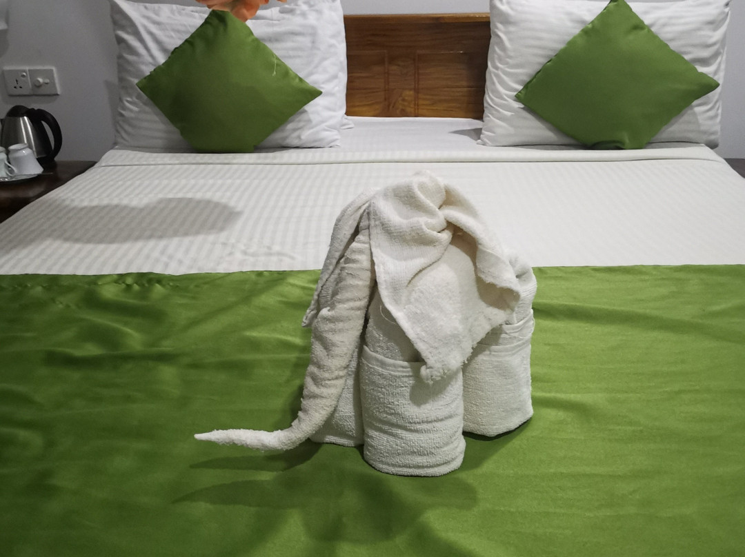 Green View Safari Resort主图