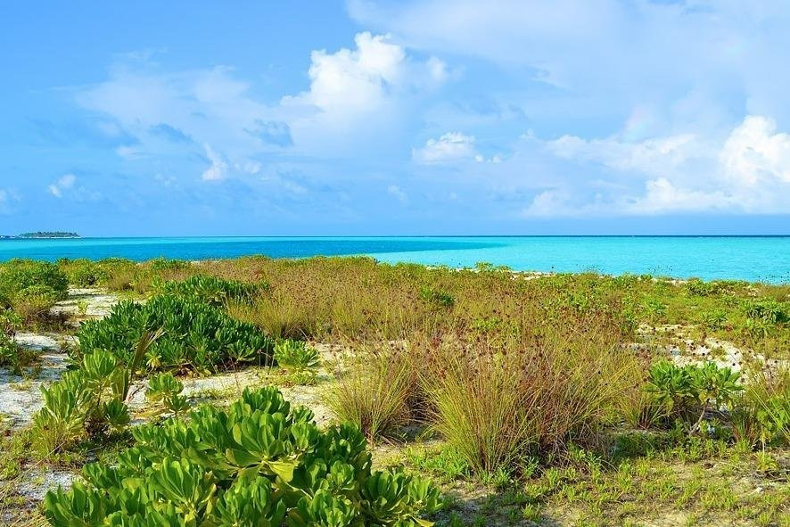 Lucido Maldives Tour-马累必去景点