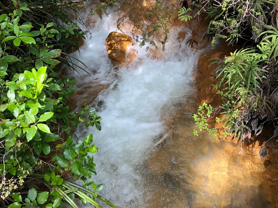 Silica Rapids Track景点图片