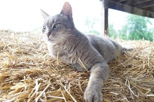 Heyser Farms-银泉必去景点