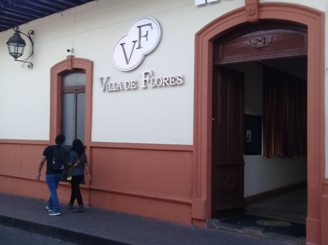 Hotel Villa de Flores主图