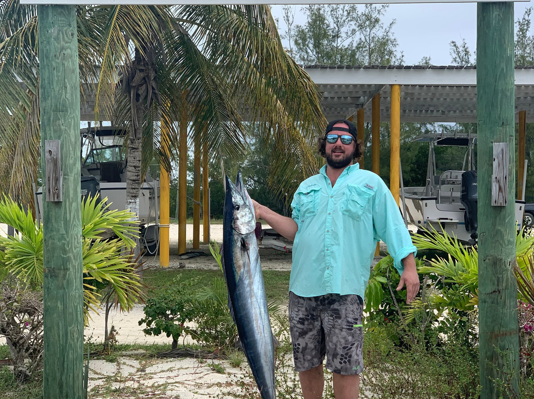 Double D & I-伊柳塞拉必去景点