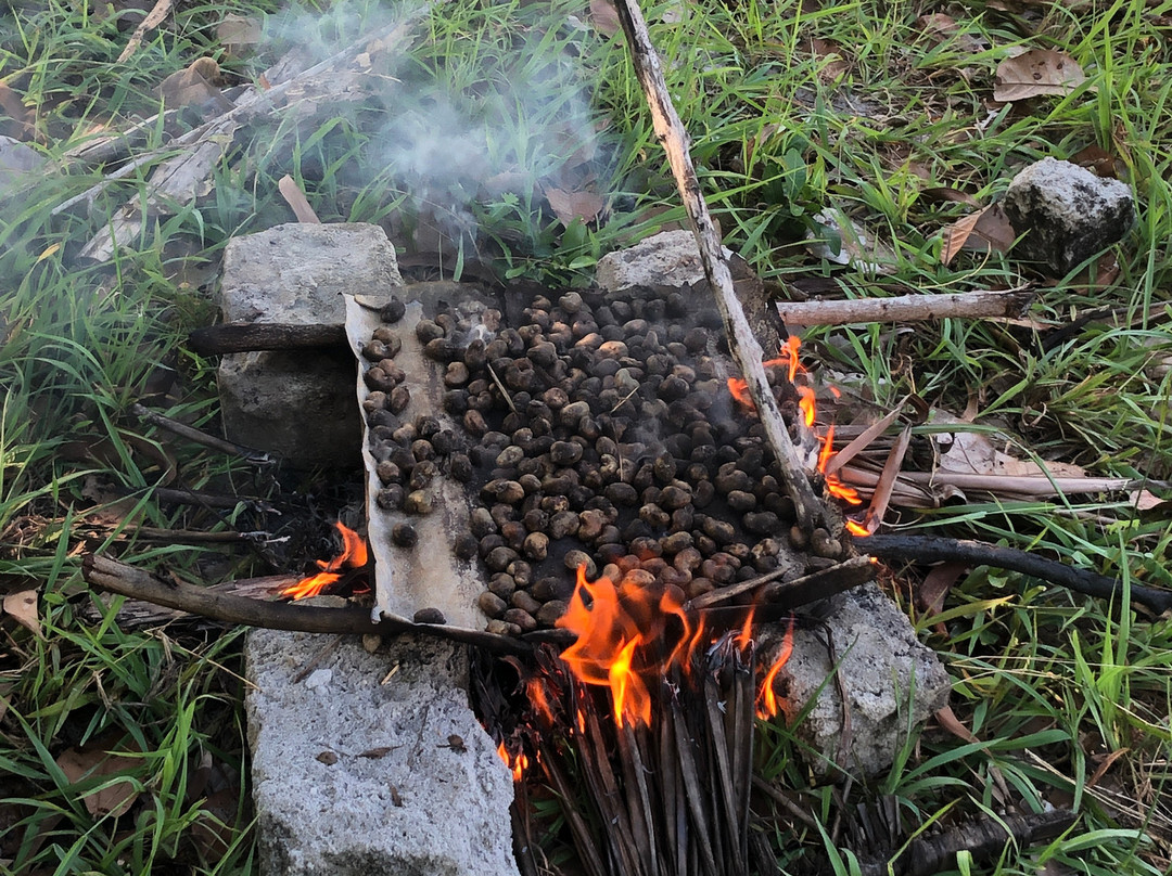 Mafia Blue Waves (previously Mangrove Beach Bungalows)主图